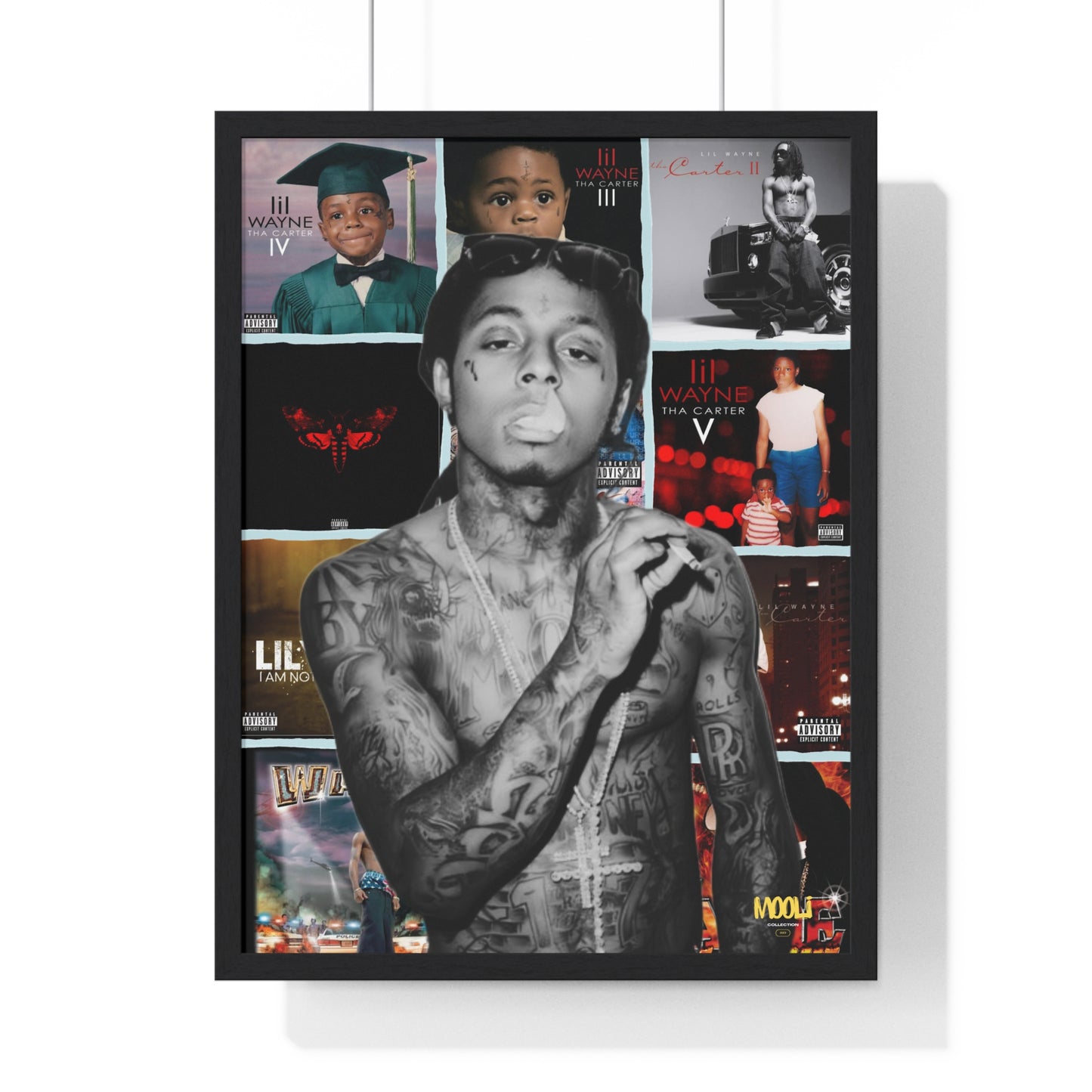 Lil Wayne | Framed Discography Poster