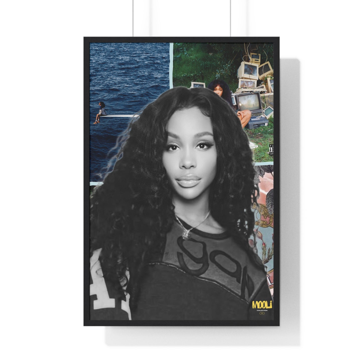 SZA | Framed Discography Poster