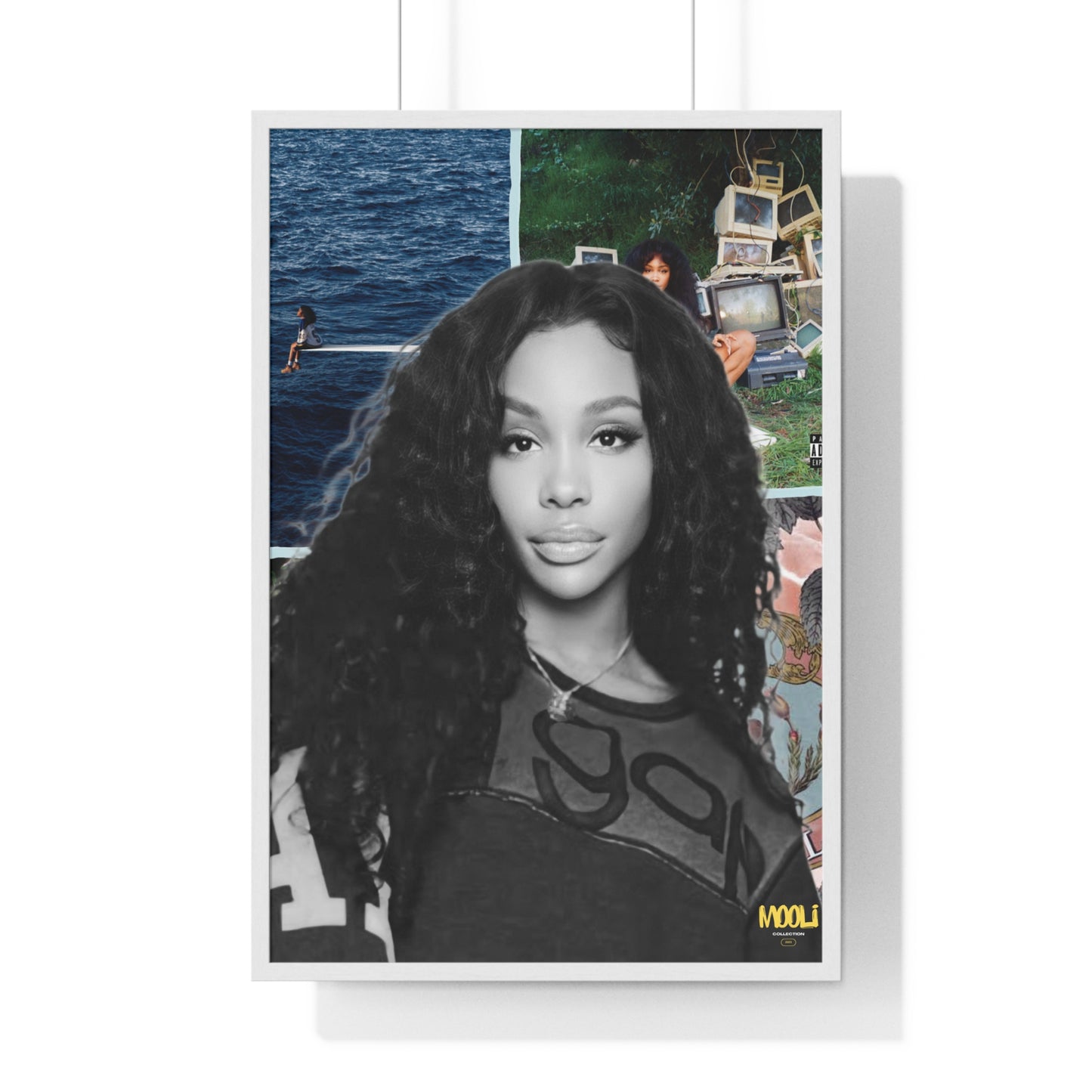 SZA | Framed Discography Poster