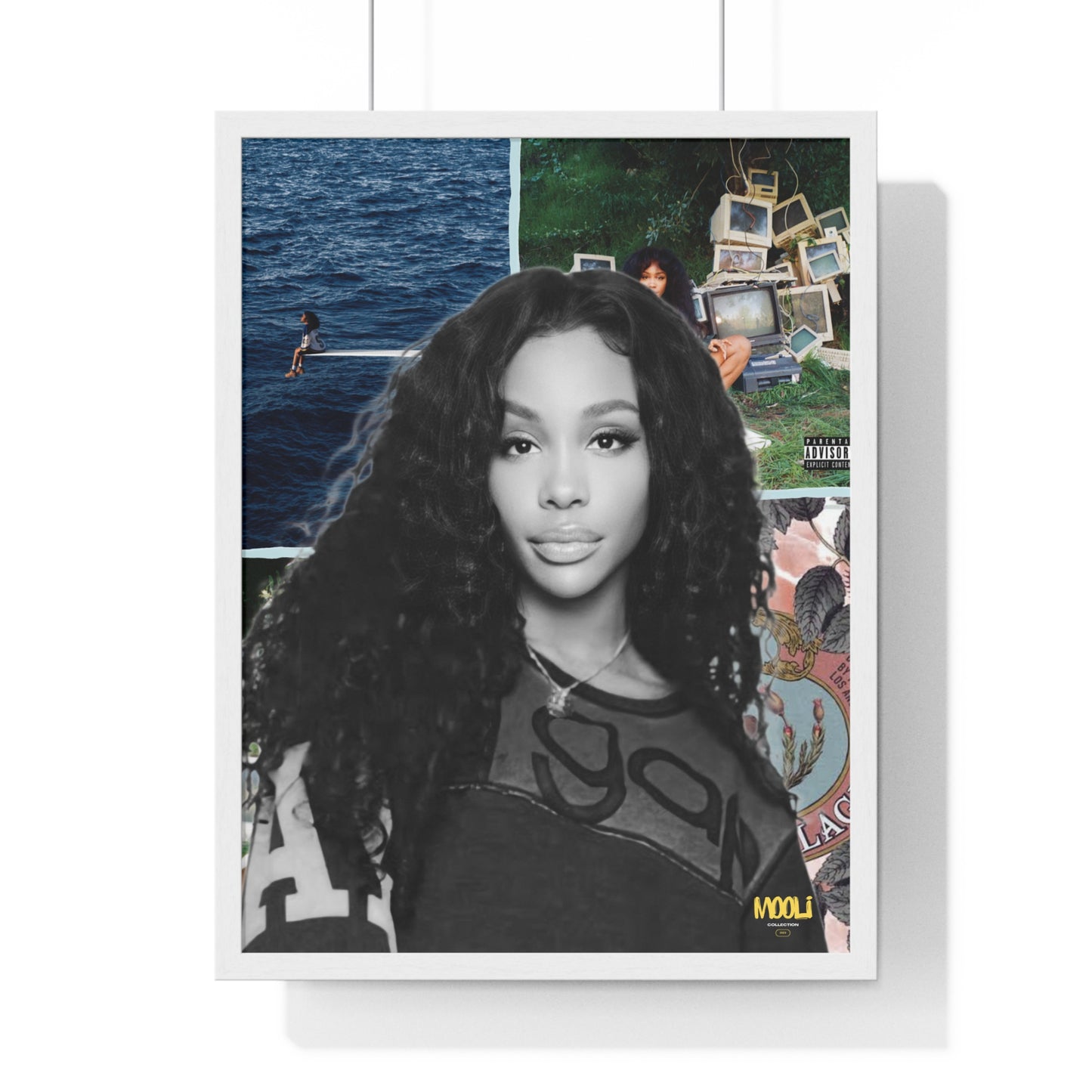 SZA | Framed Discography Poster