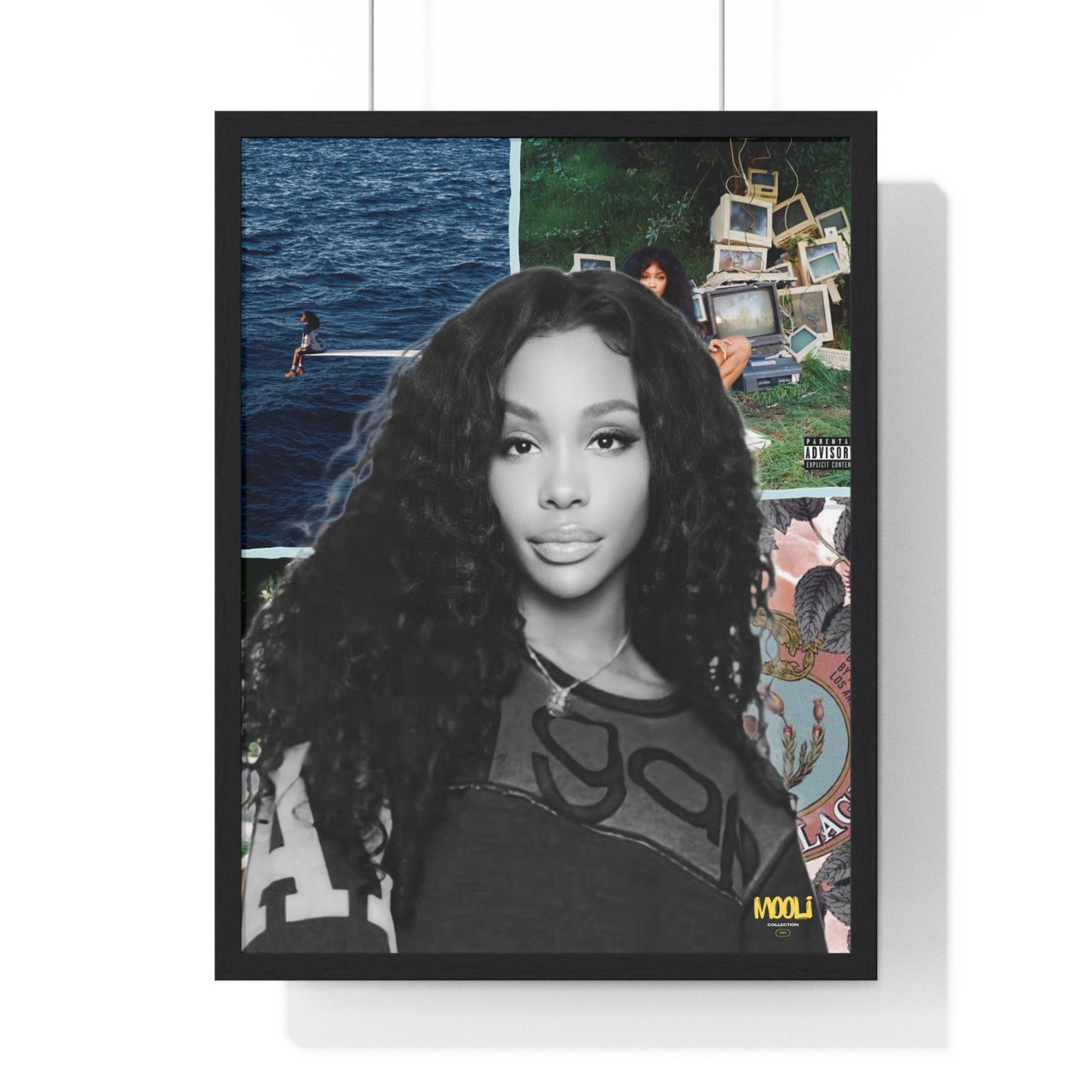 SZA | Framed Discography Poster