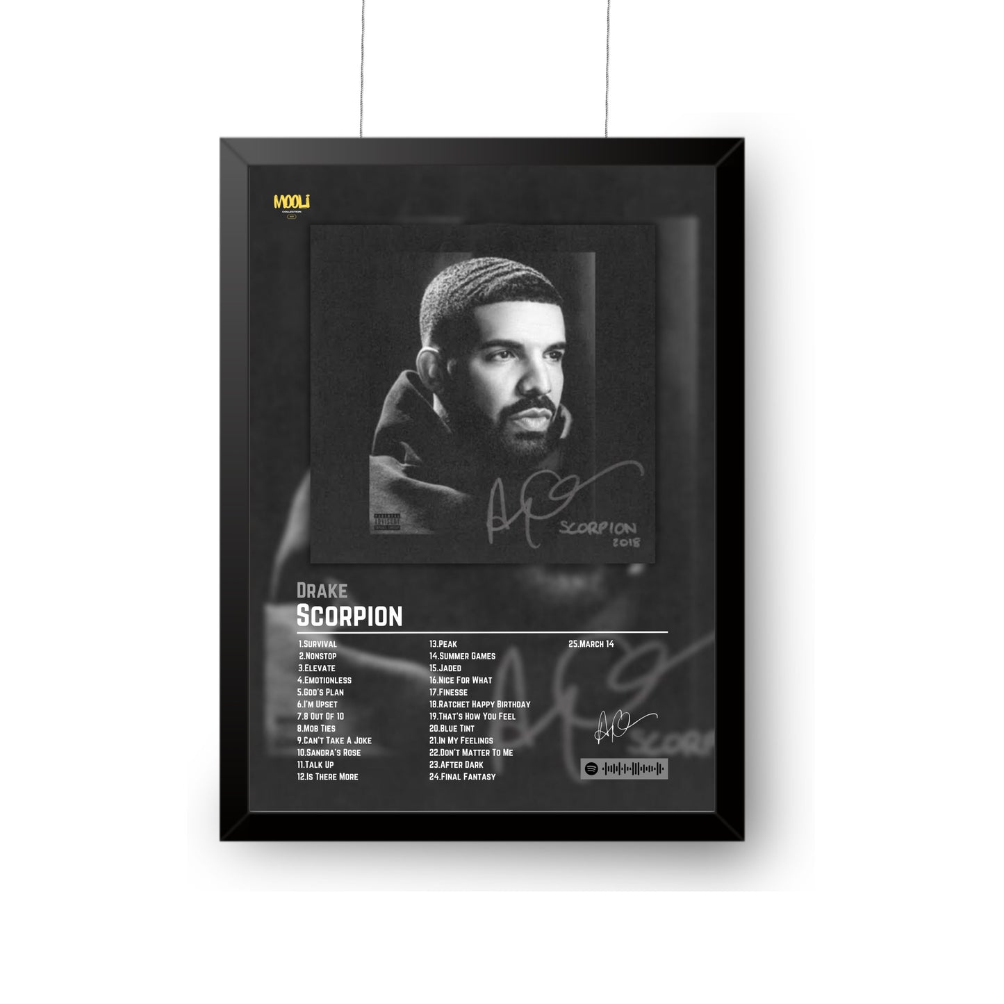 Drake Album Poster | Scorpion